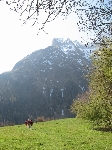 /Rocher/2007/Images/485/mini-Photo FRe 030Icon.jpg
